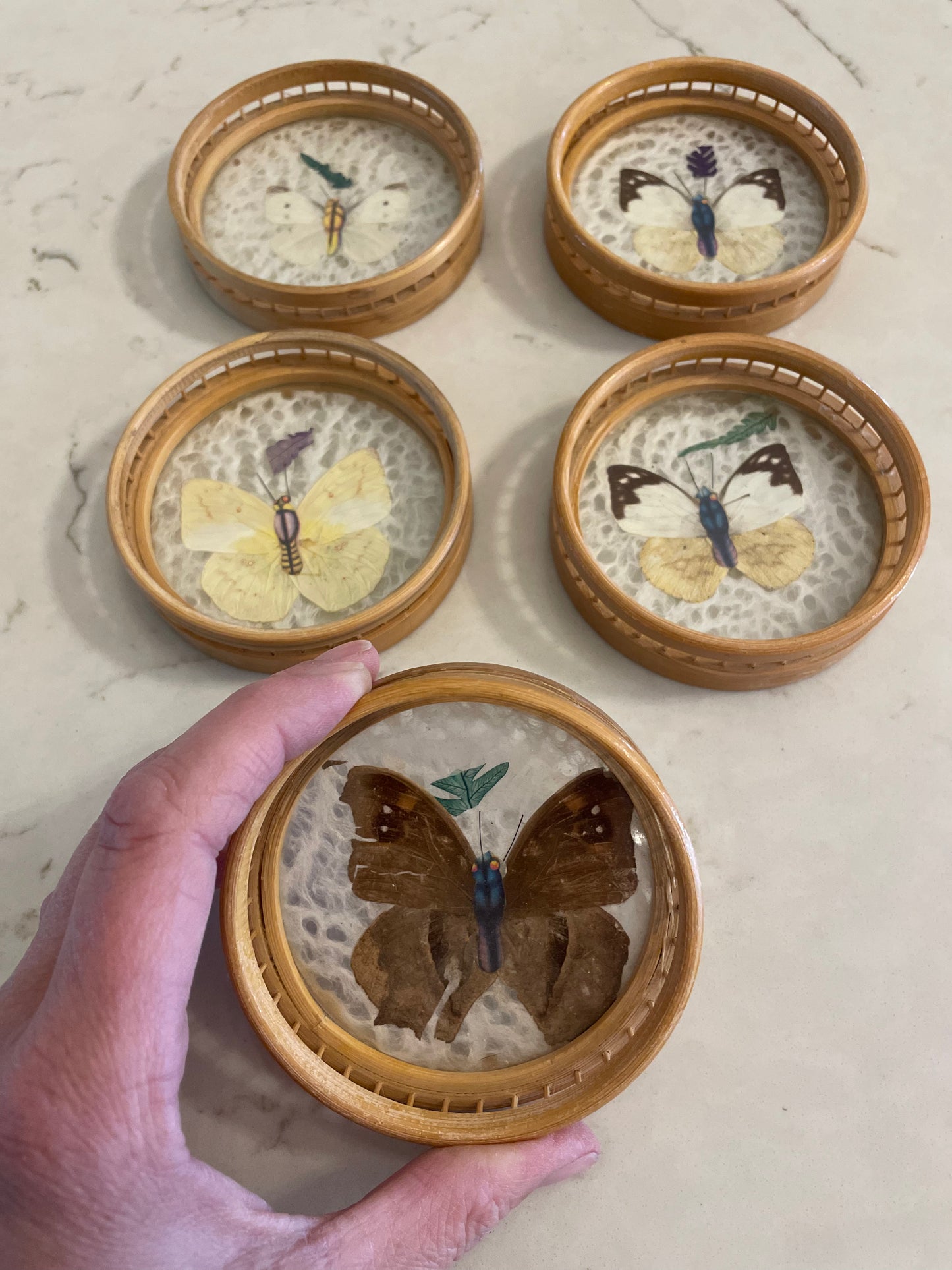 Boho Butterfly Botanical Coasters – Set of Five