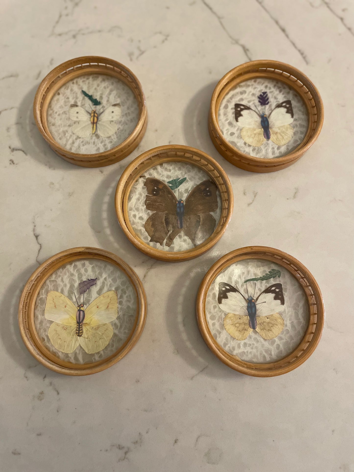 Boho Butterfly Botanical Coasters – Set of Five